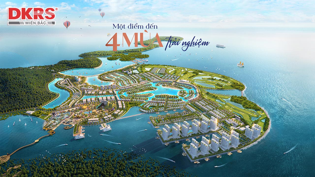 So sánh Dragon Ocean và Flamingo Cát Bà