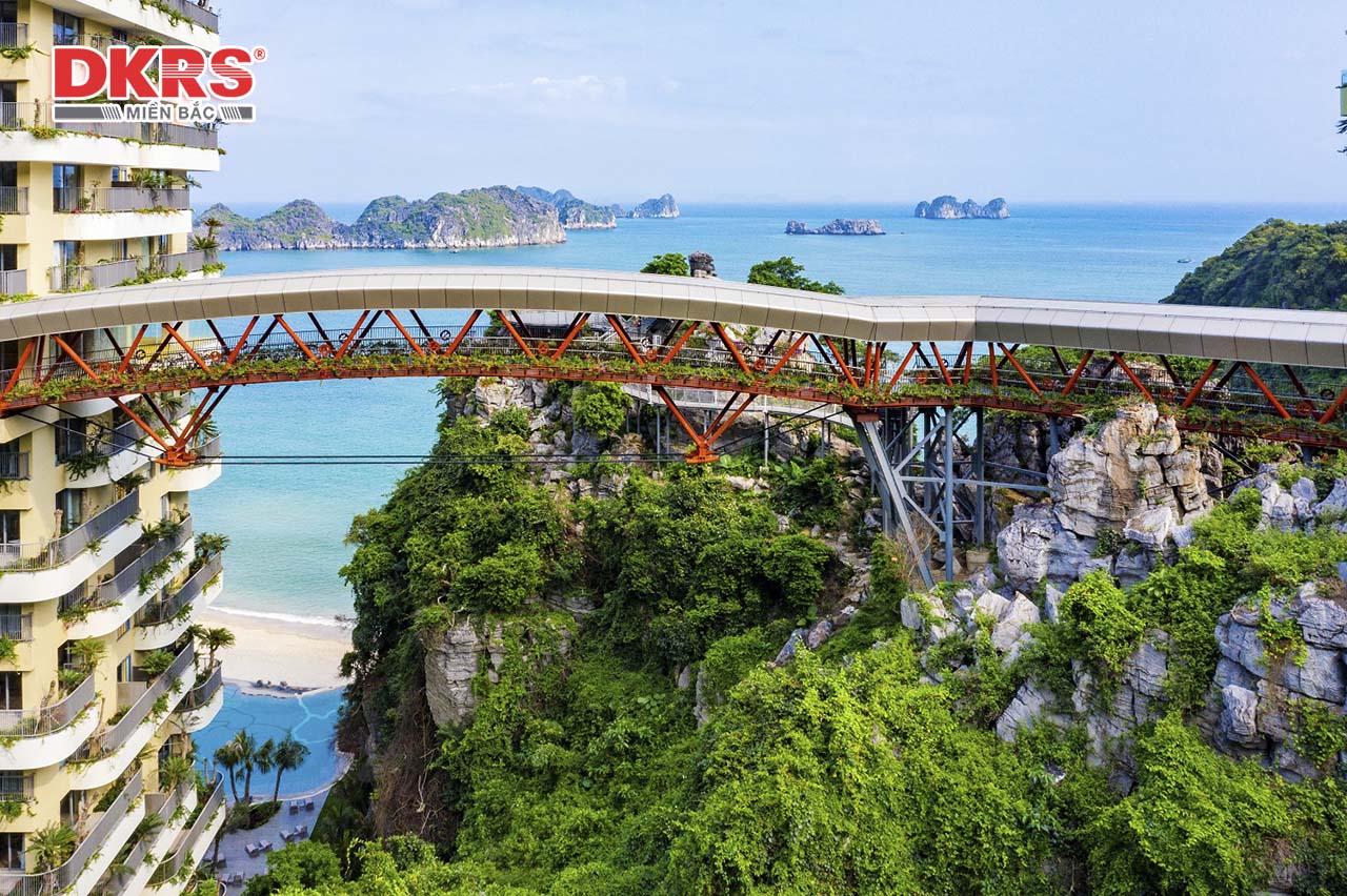 So sánh Dragon Ocean và Flamingo Cát Bà