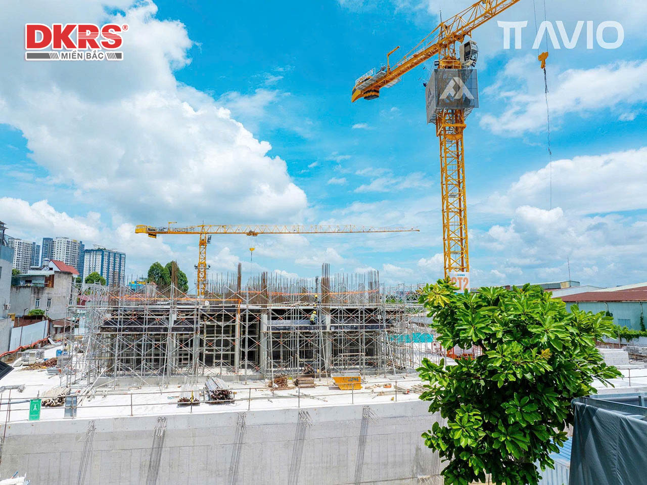 Tiến độ xây dựng TT AVIO