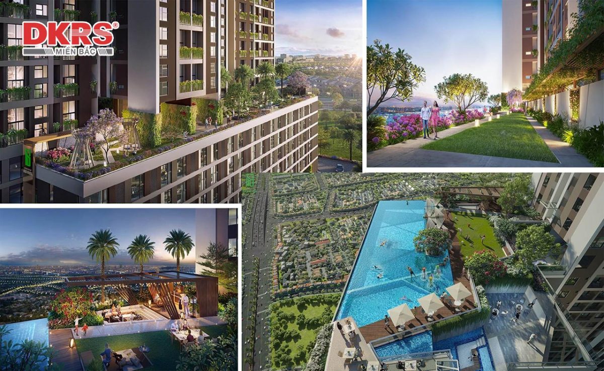 TT AVIO có gì đặc biệt