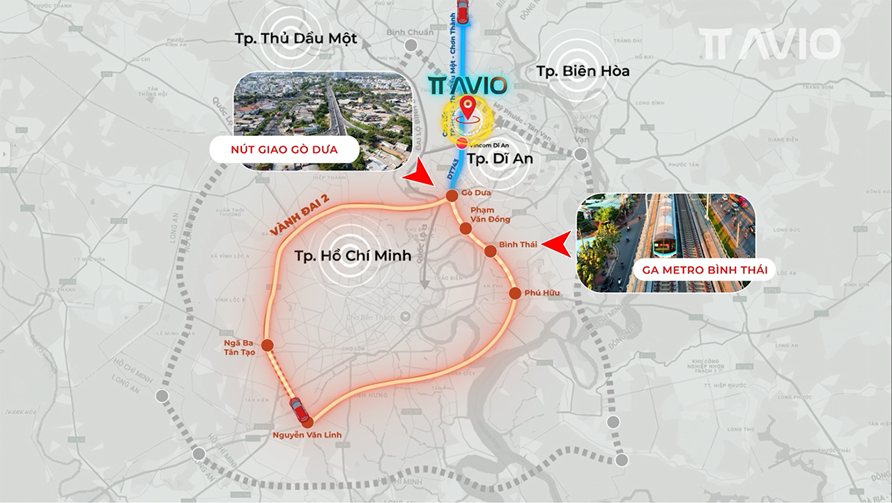 TT AVIO có gì đặc biệt